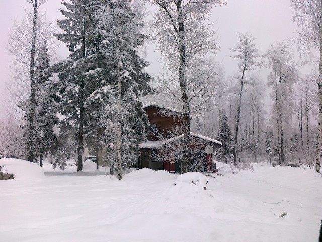 Winter in Estonia