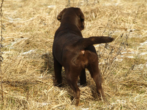 My Brand Bedtime Story - 4 months old (photo Helen Tamm)