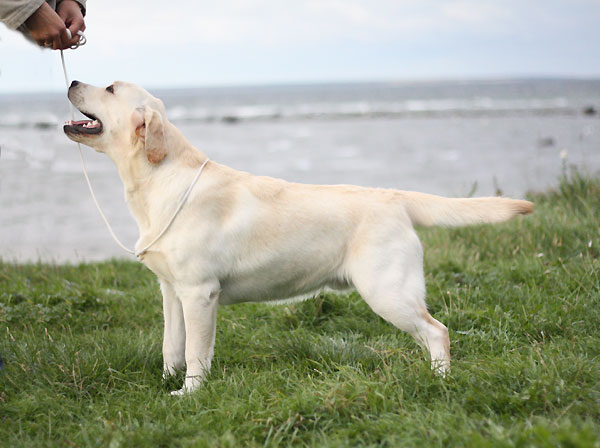 My Brand Esquire at the age of 7 months