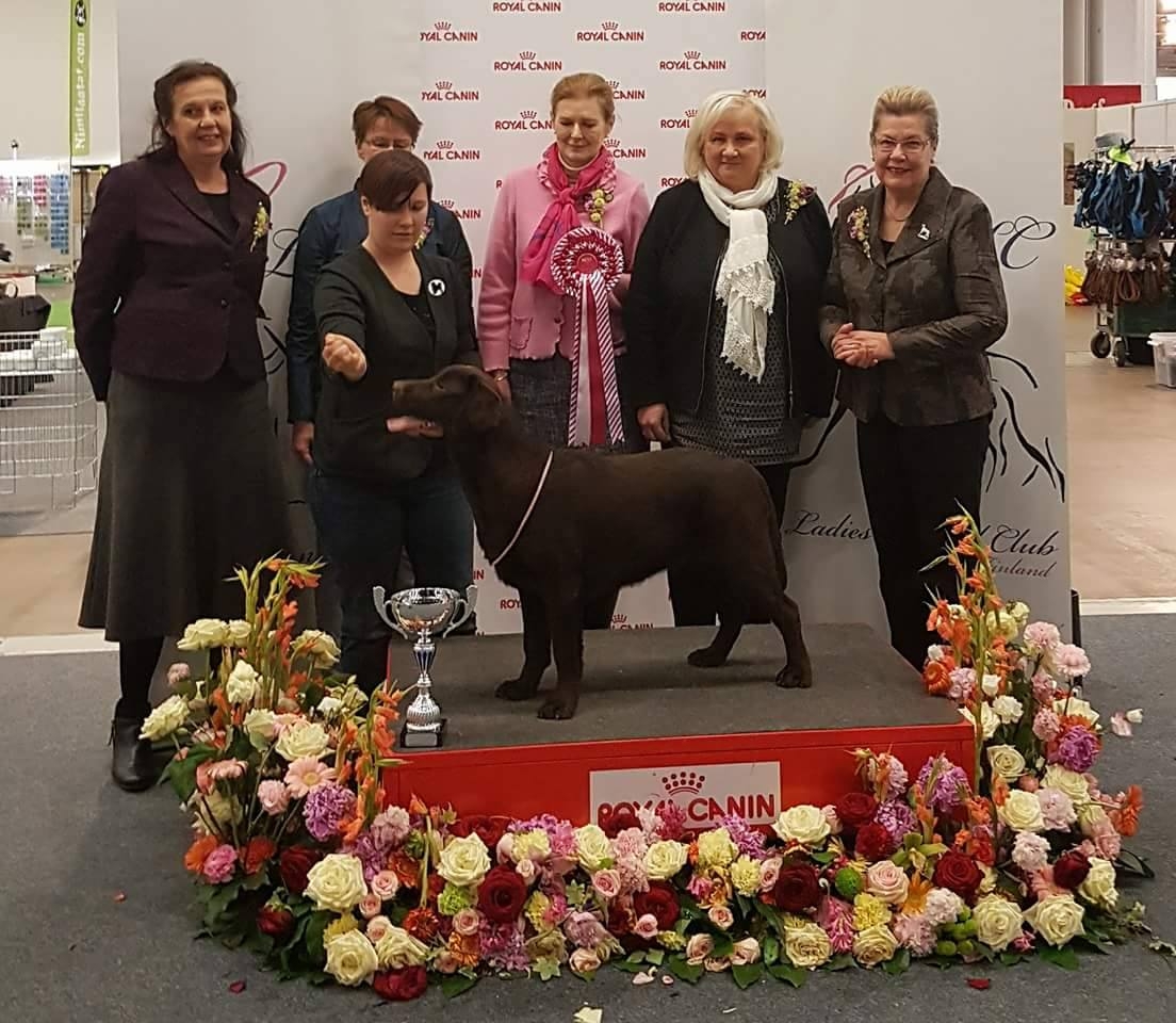 My Brand Zillion Kisses as a BEST IN SHOW Puppy on 23.4.2017