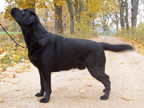 My Brand Love Mission