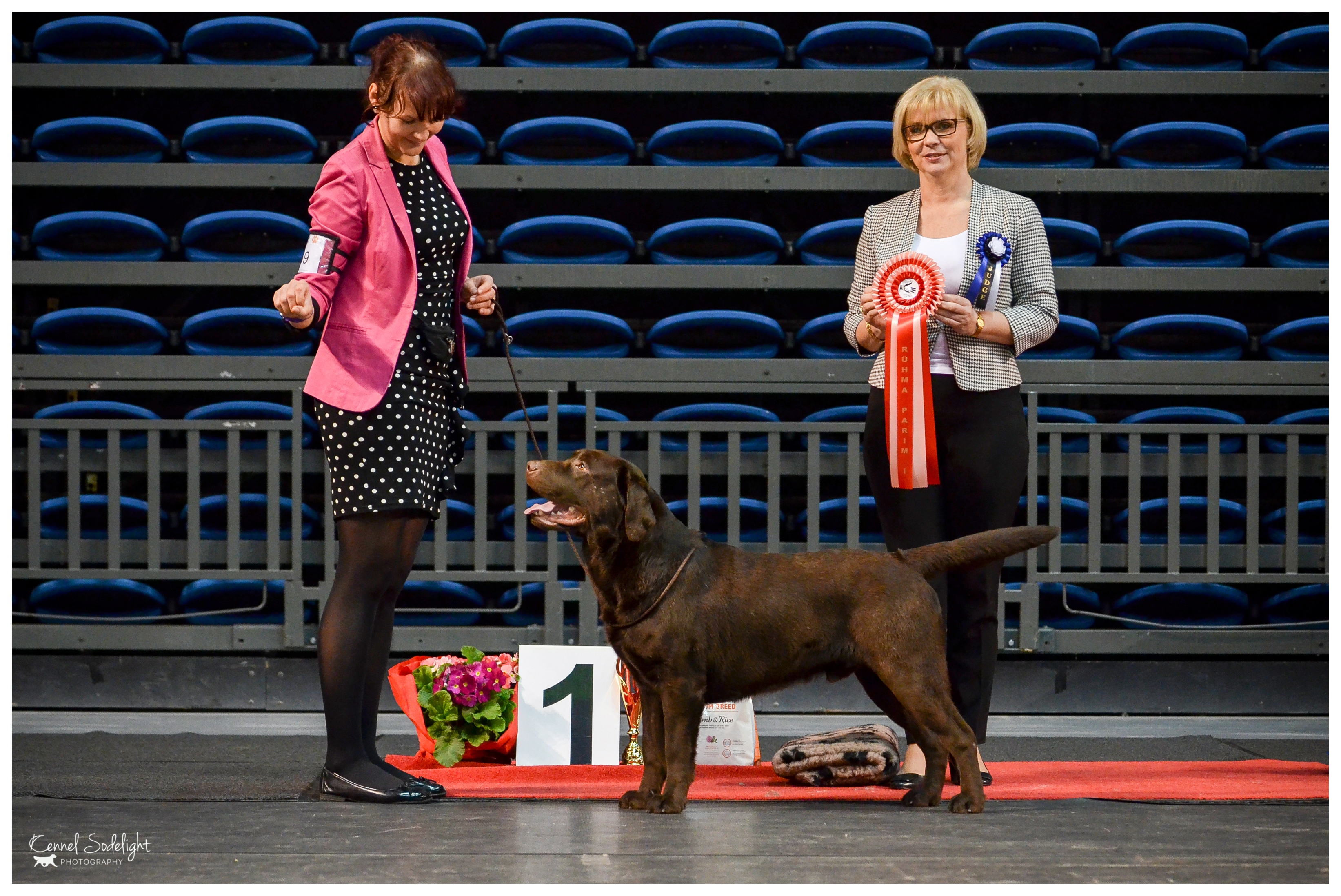 Lucca winning Best in Group at the Tallinn National Dog Show 12.3.2017. Judge Dorota Witkowska from Poland. Photo by talented Sodelight Photography.