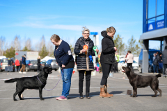 My Brand Night To Remember at the Kouvola 2022 dog show