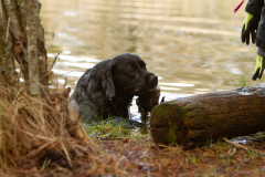 My Brand San Antonio "Antonio"