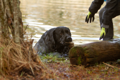 My Brand San Antonio "Antonio"