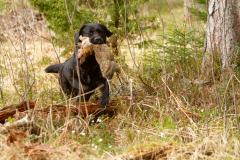 My Brand San Antonio "Antonio"