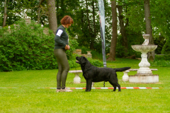 My Brand San Antonio "Antonio"