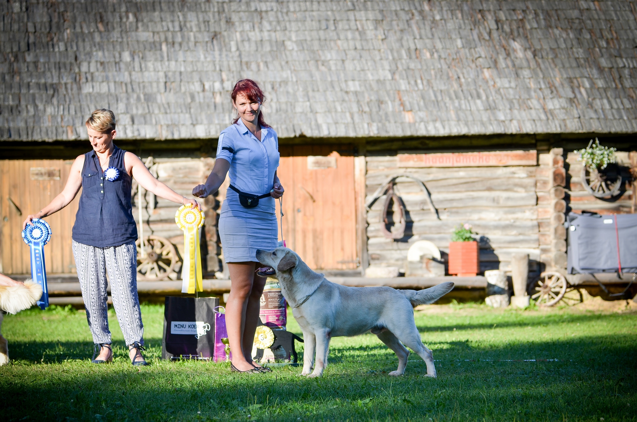BIS-3 at the Retriever Specialty 2016 in Southern Estonia, judged by Mary Neil. Photo by Sodelight Photography.