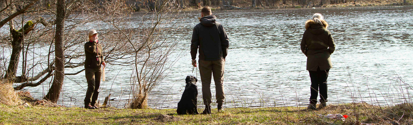 3. MB JÄTKUKOOLITUS (L3)