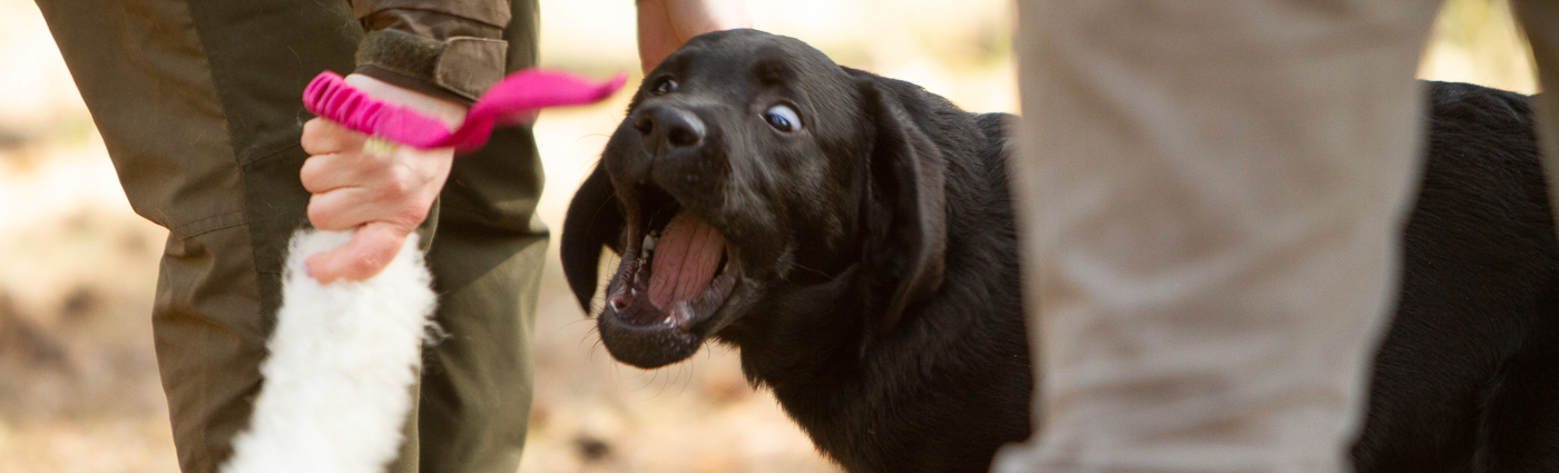 4. INDIVIDUAALSED TRENNID