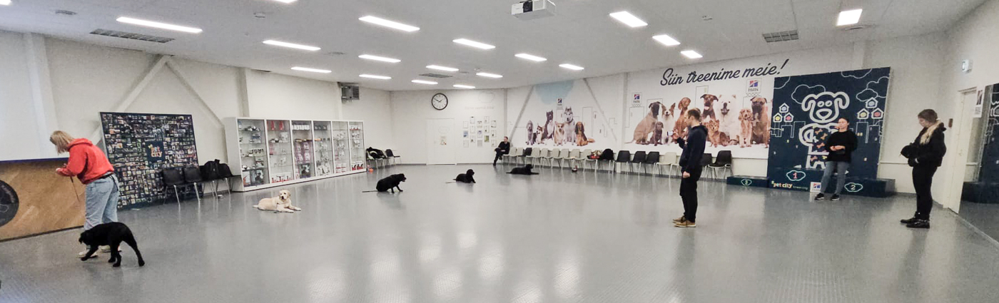 2. MB JÄTKUKOOLITUS (L2)