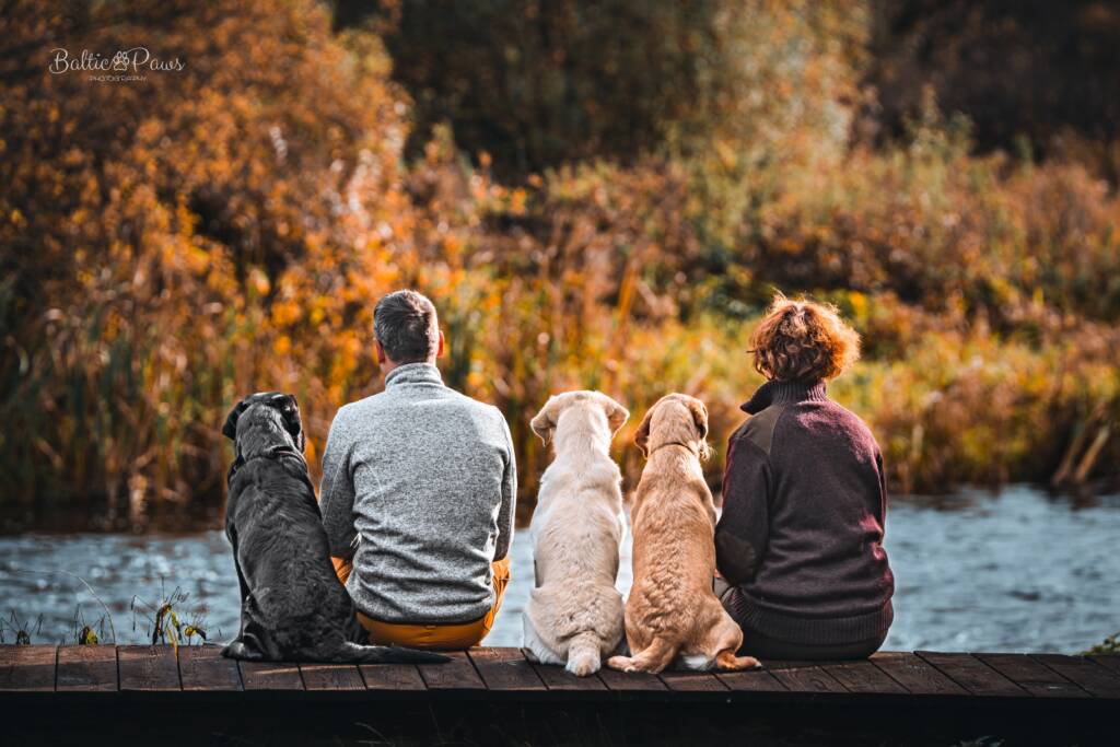 DSC02847-редакт