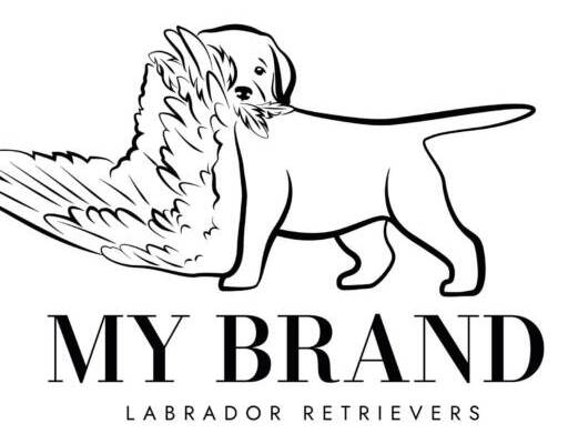 MyBrand